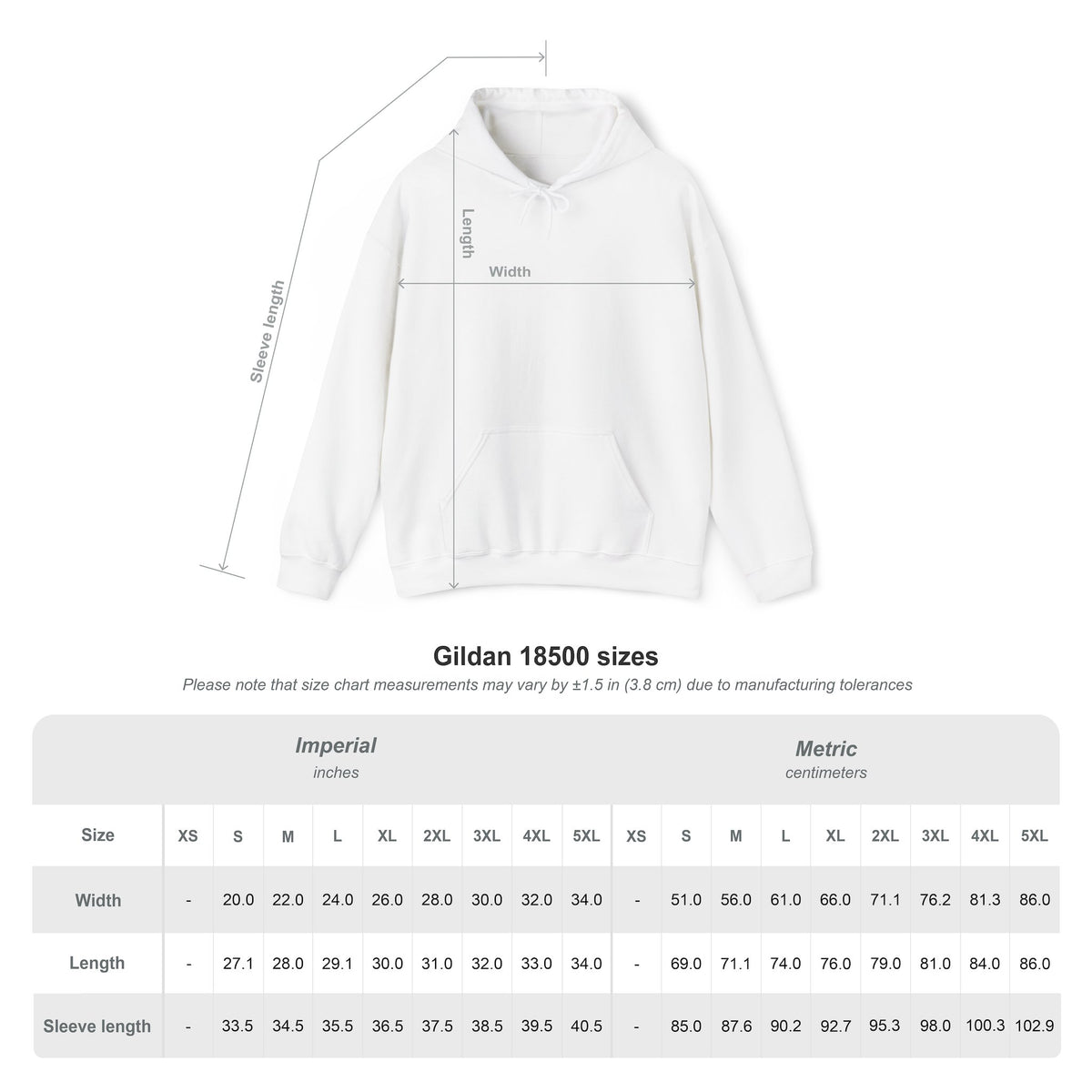 Best Author Blessed Author Alive Hoodie